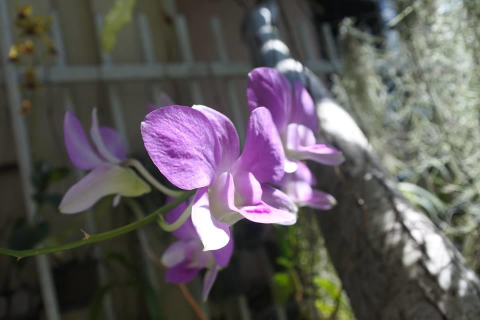 Hotel Baannueng@Kathu Phuket Exterior foto